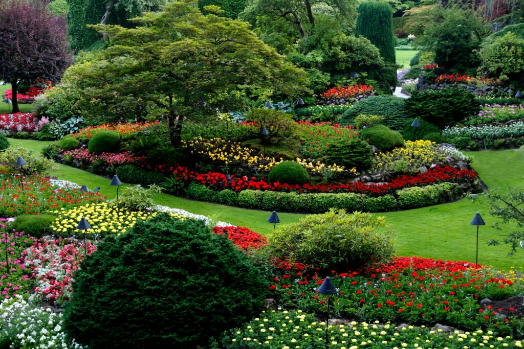 Landscaping & Groundskeeping In DMV Area