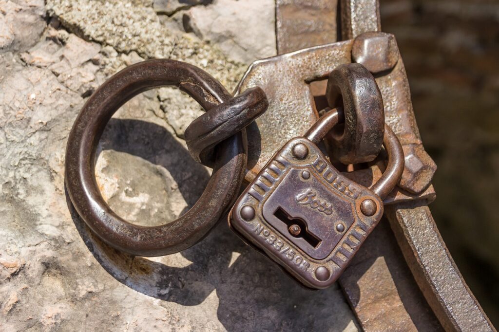 VIP Locksmith Services