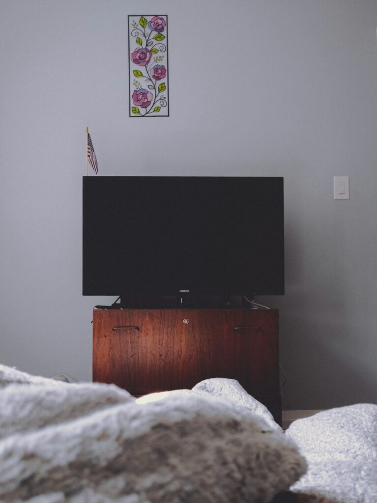 Hire TV Mount in Elkridge