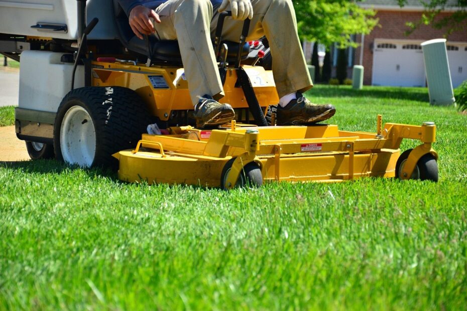 Hire Landscaper in Bel Air