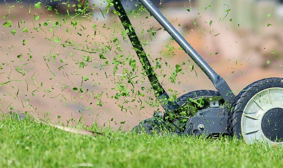 Hire Landscaper in Severn
