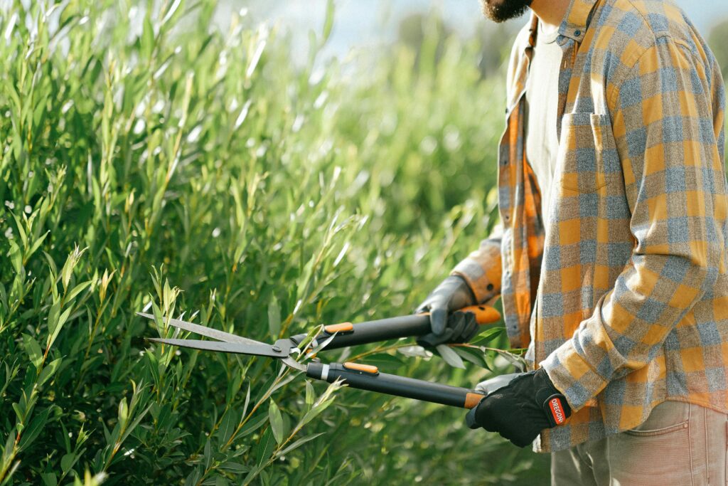 Hire Landscaper in Clinton