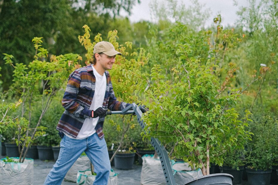 Hire Landscaper in Elkridge