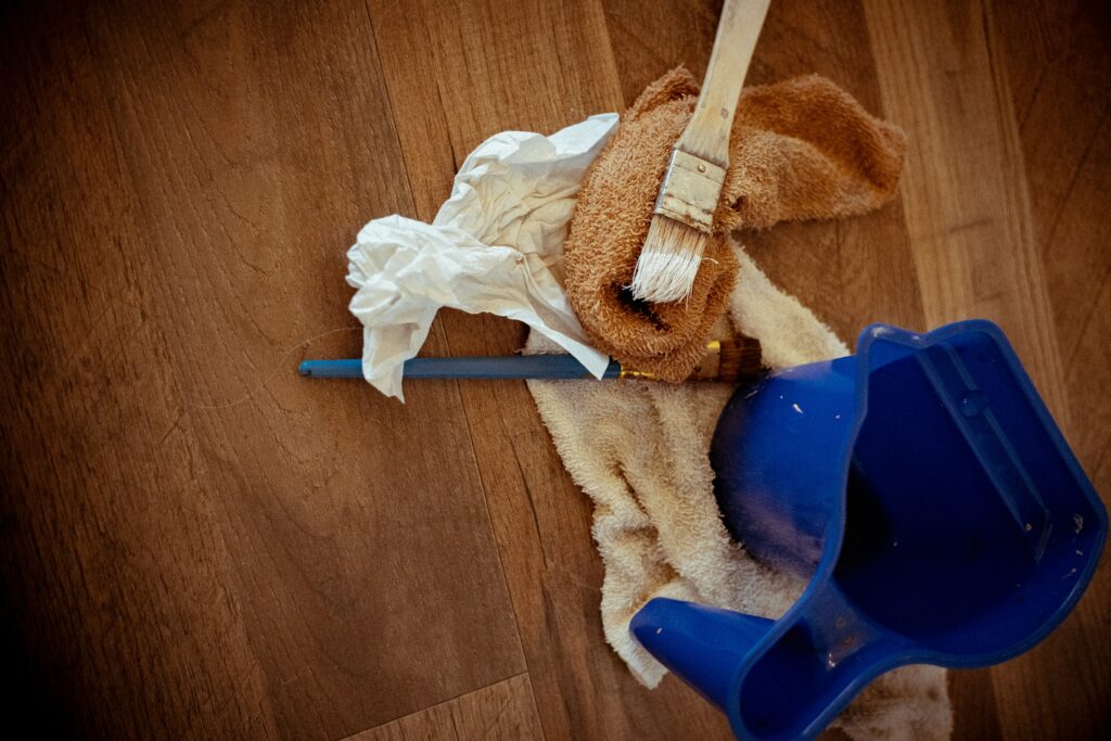 Hire Cleaner in Honeygo