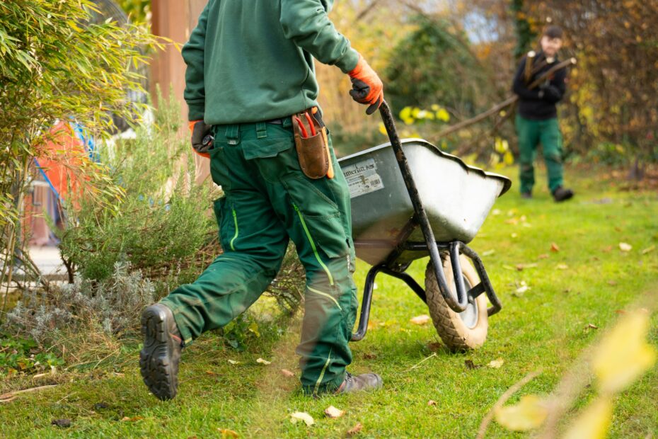 Hire Landscaping in Accokeek
