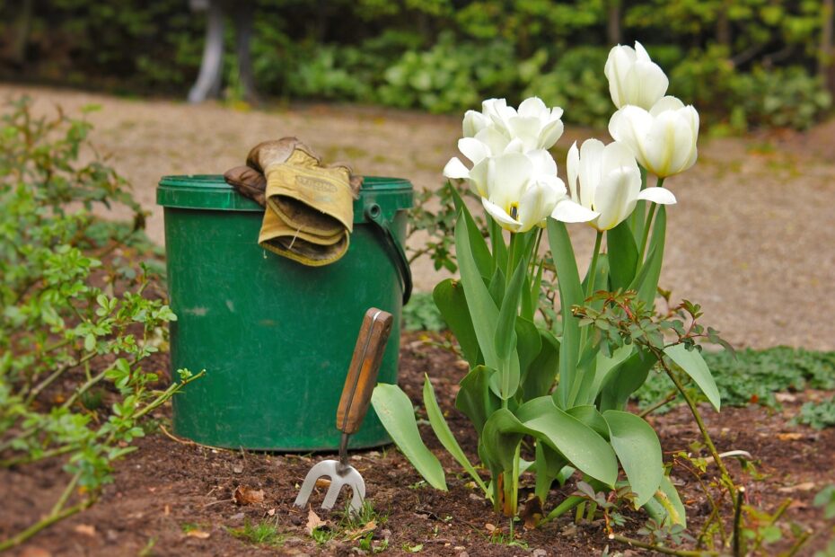 Hire Landscaper in New Carrollton