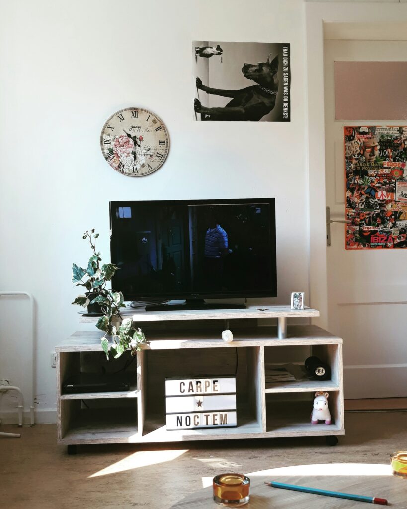 Hire TV Mount in Joppatowne