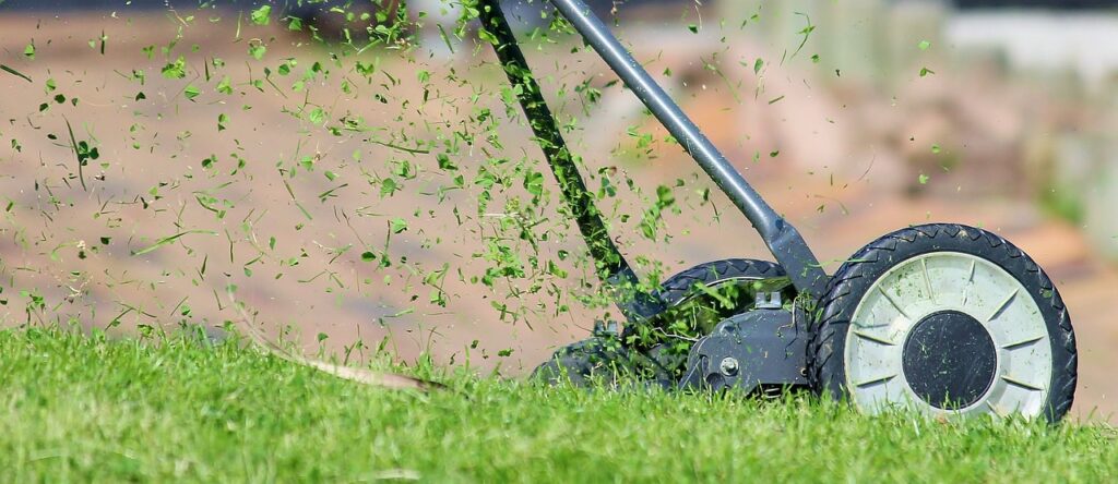 Hire Landscaper in Beltsville