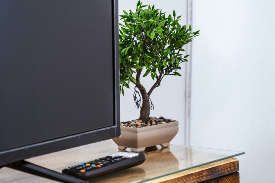 Hire TV Mounting in Accokeek