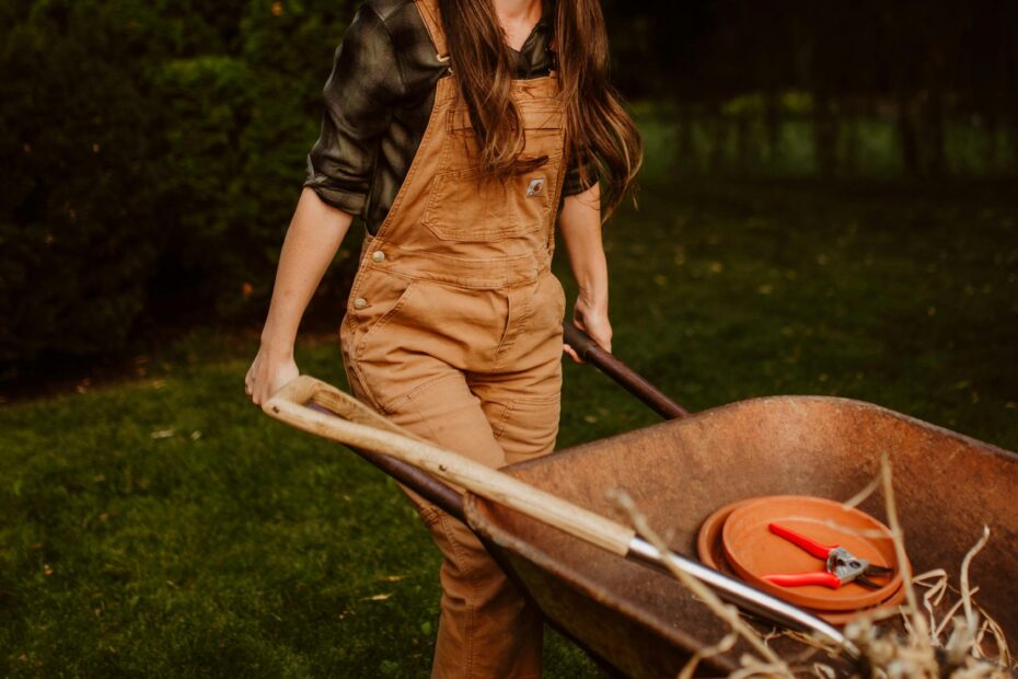 Hire Waste Management in East Riverdale