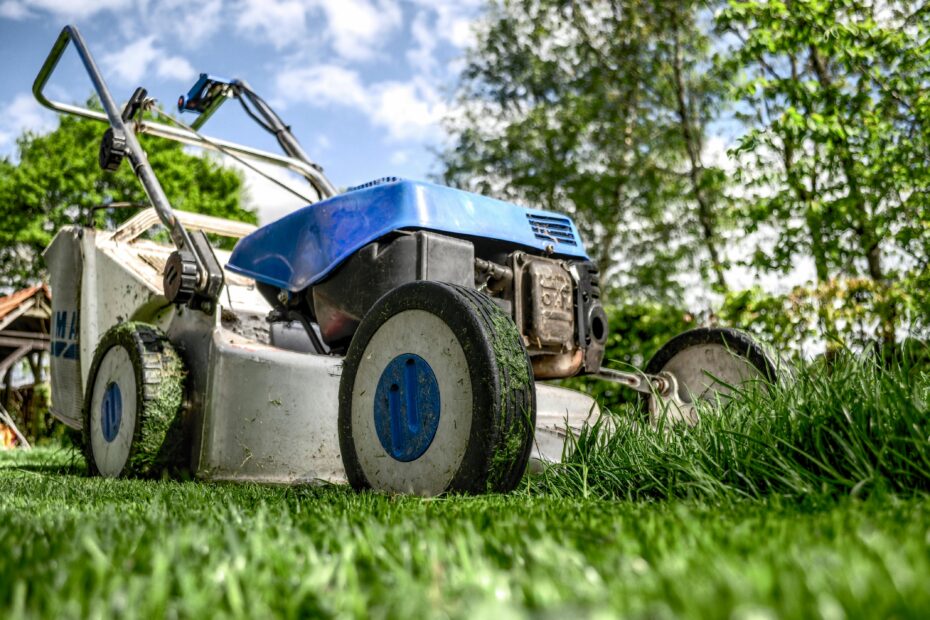 Hire Lawn Care in Westminster