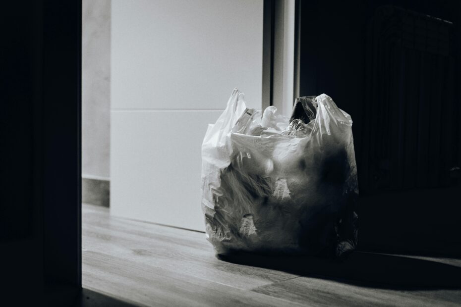 Hire Waste Cleaner in Travilah
