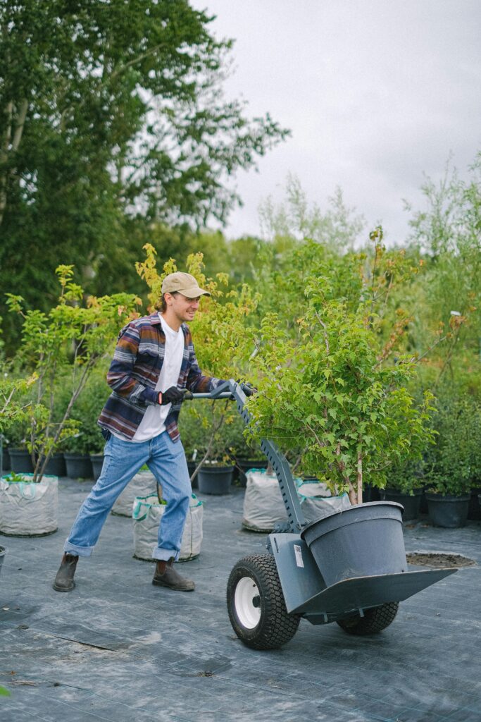 Hire Landscaper in Timonium