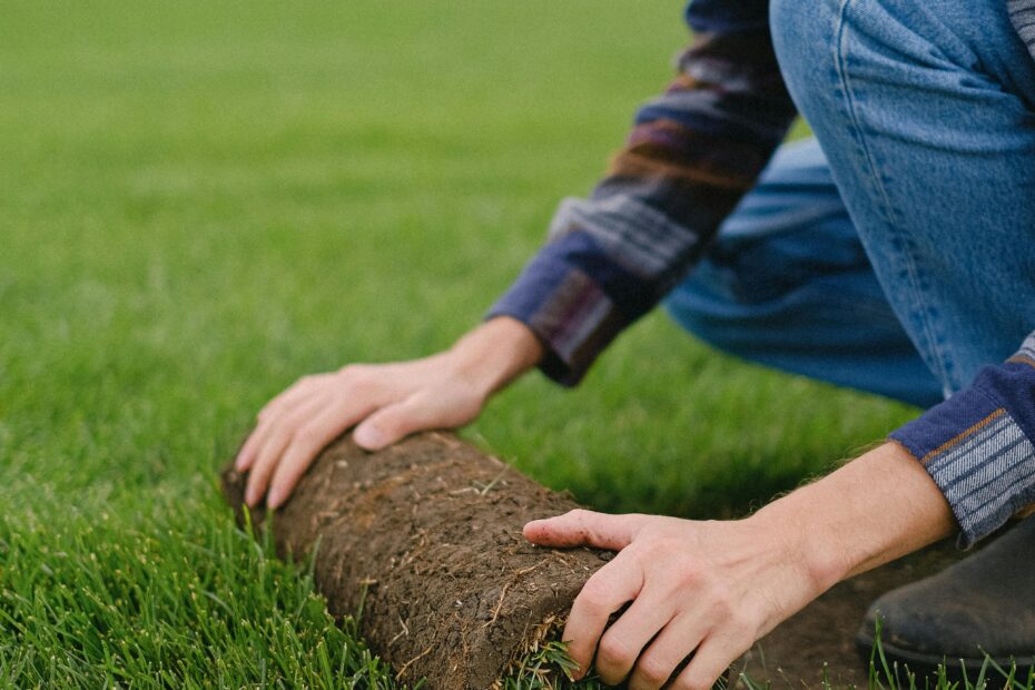 Hire Landscaper in East Riverdale