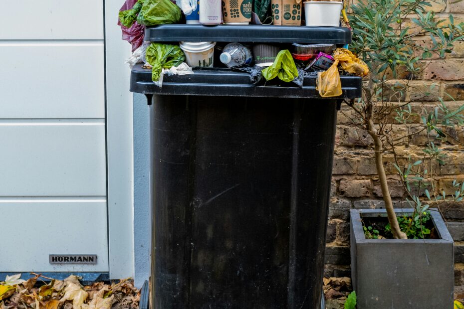 Hire Waste Cleaner in Lanham